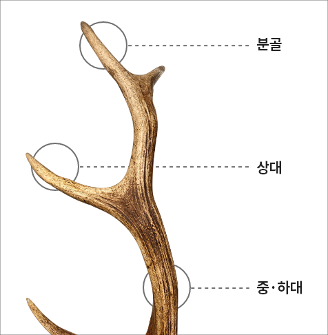 경희동행녹용